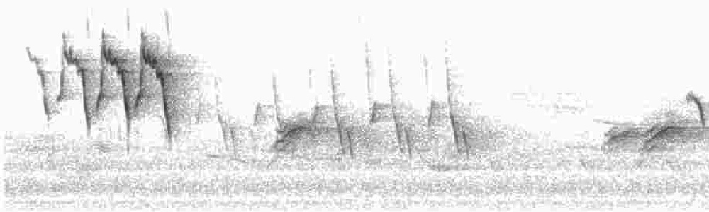 merlin bird id, spectrogram, surface roughness